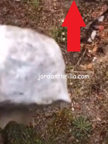Rick Ross Discovers Marble In His Backyard of the House he Bought from Evander Holyfield