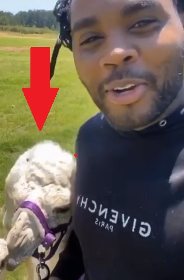 Kevin Gates gets His Neck Licked by Camel for Father's Day