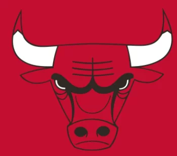 Chicago Bulls Logo turned upside down is actually a Robot making love ...