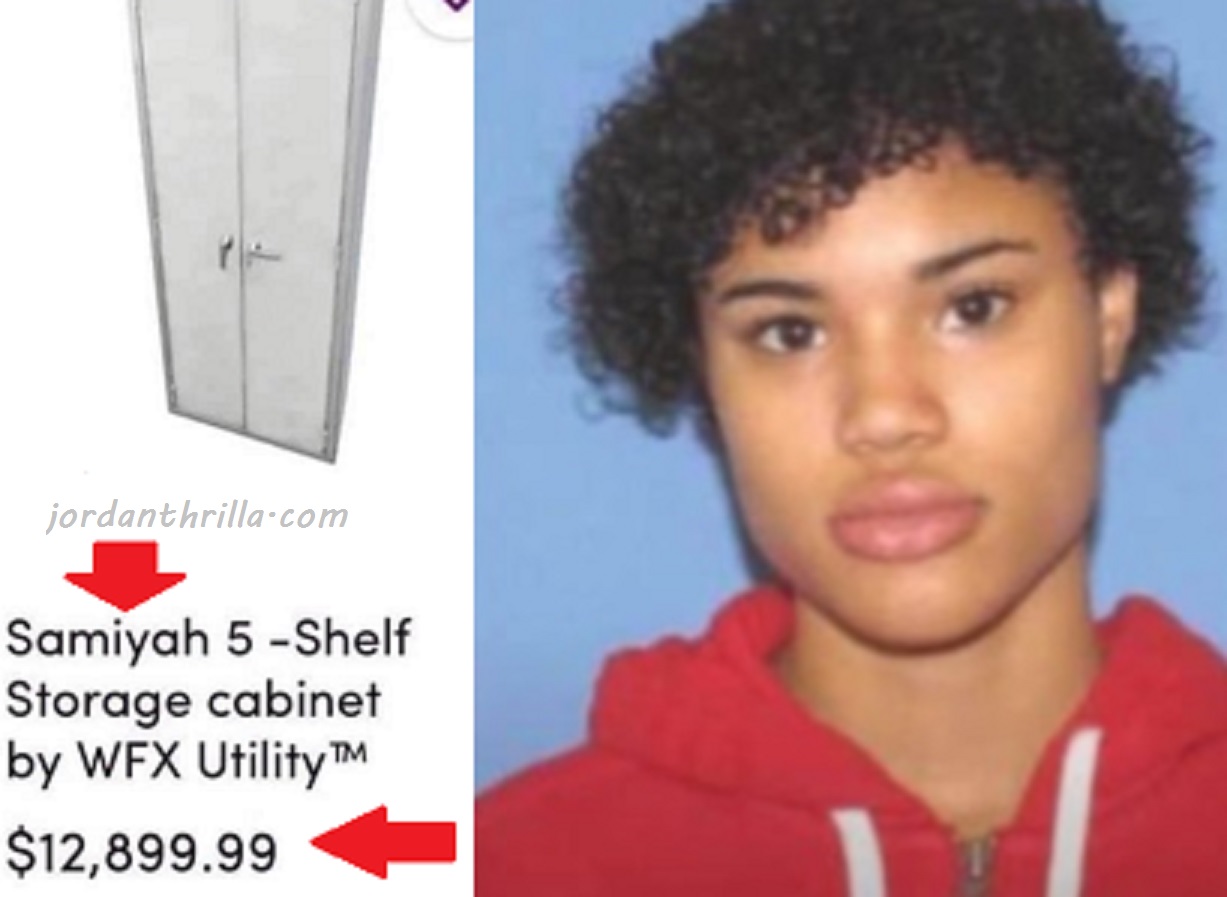 Third Party Vendors for Wayfair Accused of Human Sex Trafficking on Website and Listing Missing Girls as Furniture