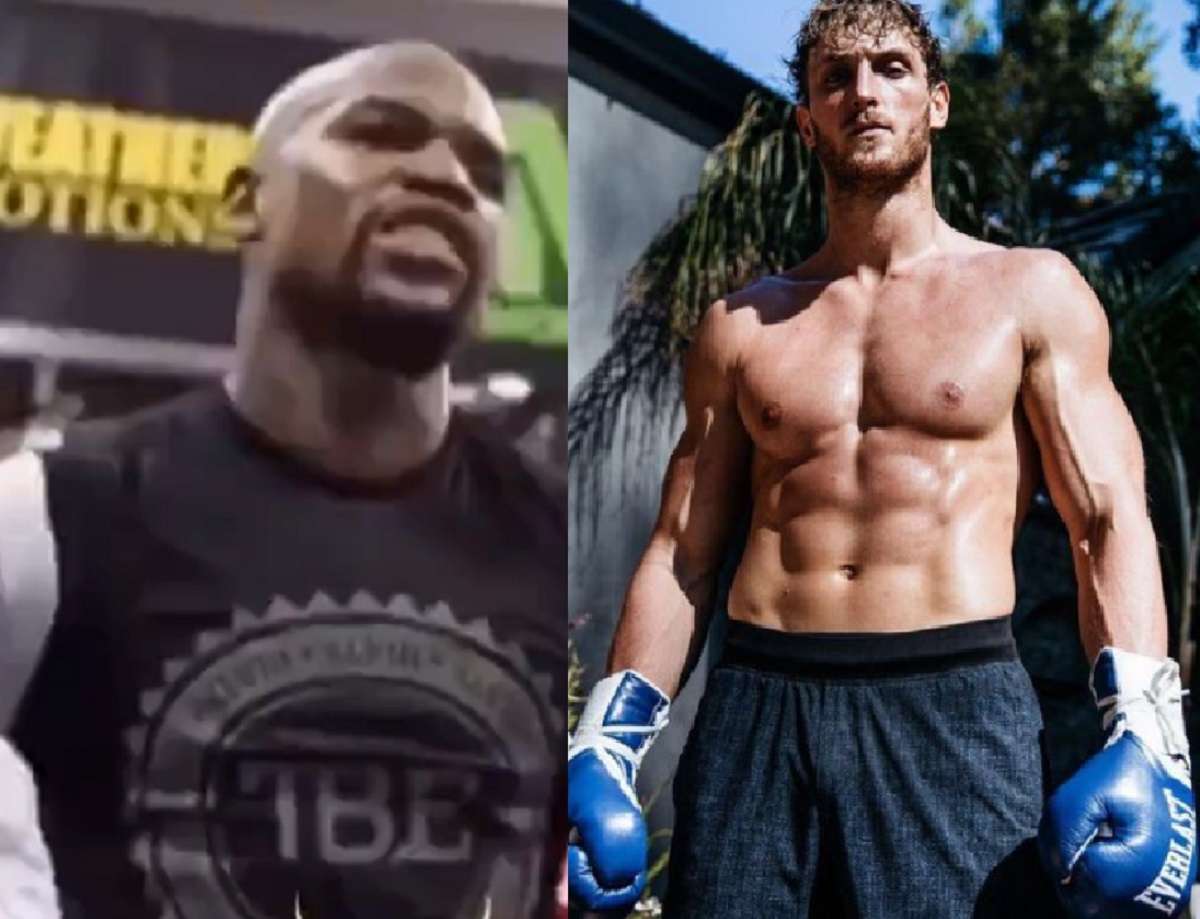 Logan Paul vs Floyd Mayweather Cancelled Until Further Notice for Unbelievable Reason