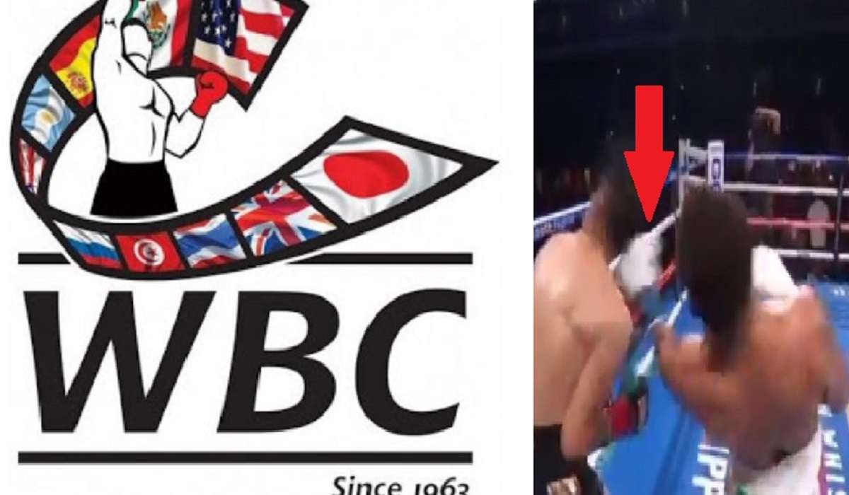 WBC DELETES Evidence of Gervonta Davis Cheating Glove Conspiracy Theory From Instagram Page