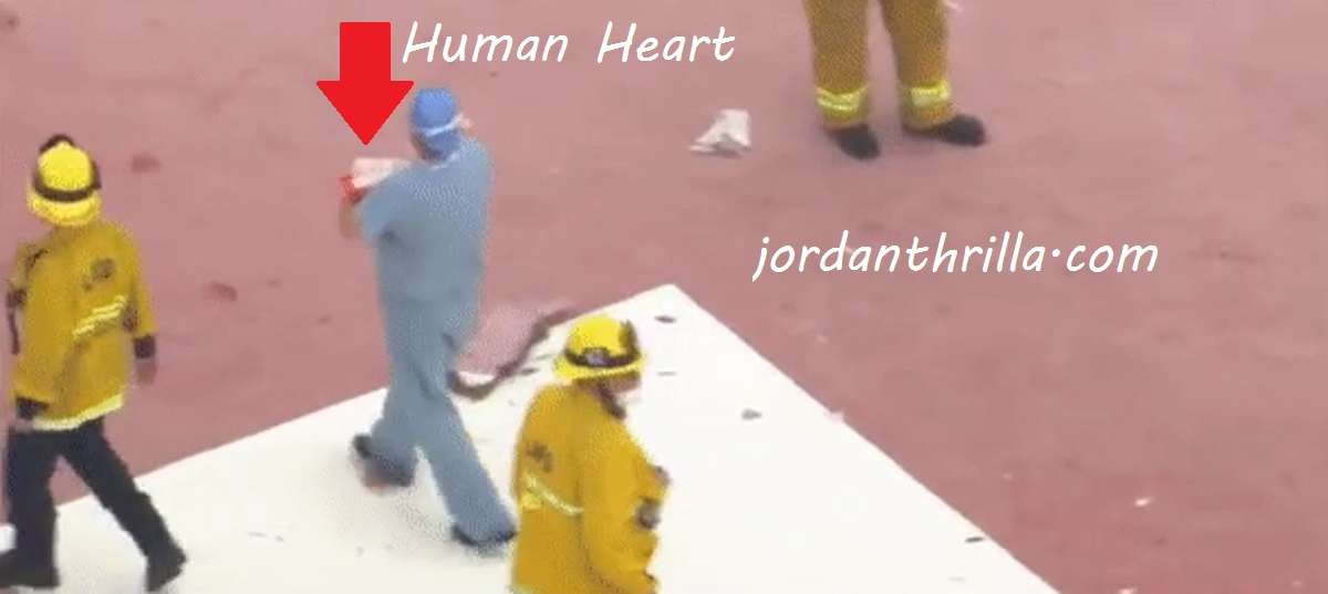 LA Doctor Drops Donor Heart on Roof After Helicopter Crash at Los Angeles Hospital
