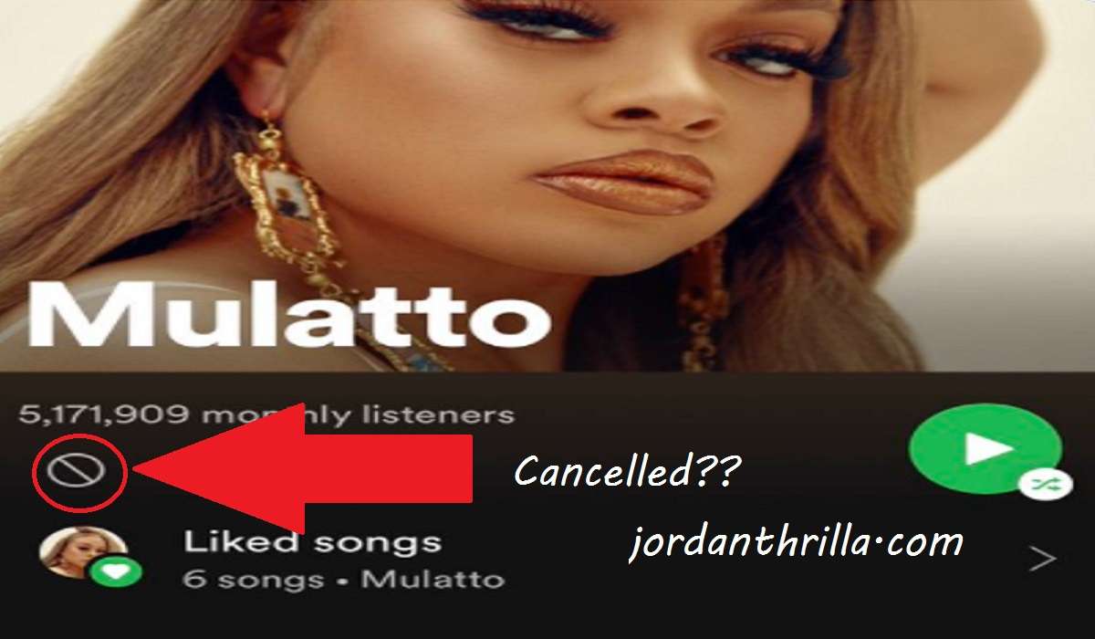 People React to Mulatto Allegedly saying Colorism Doesn't Exist During Clubhouse Interview