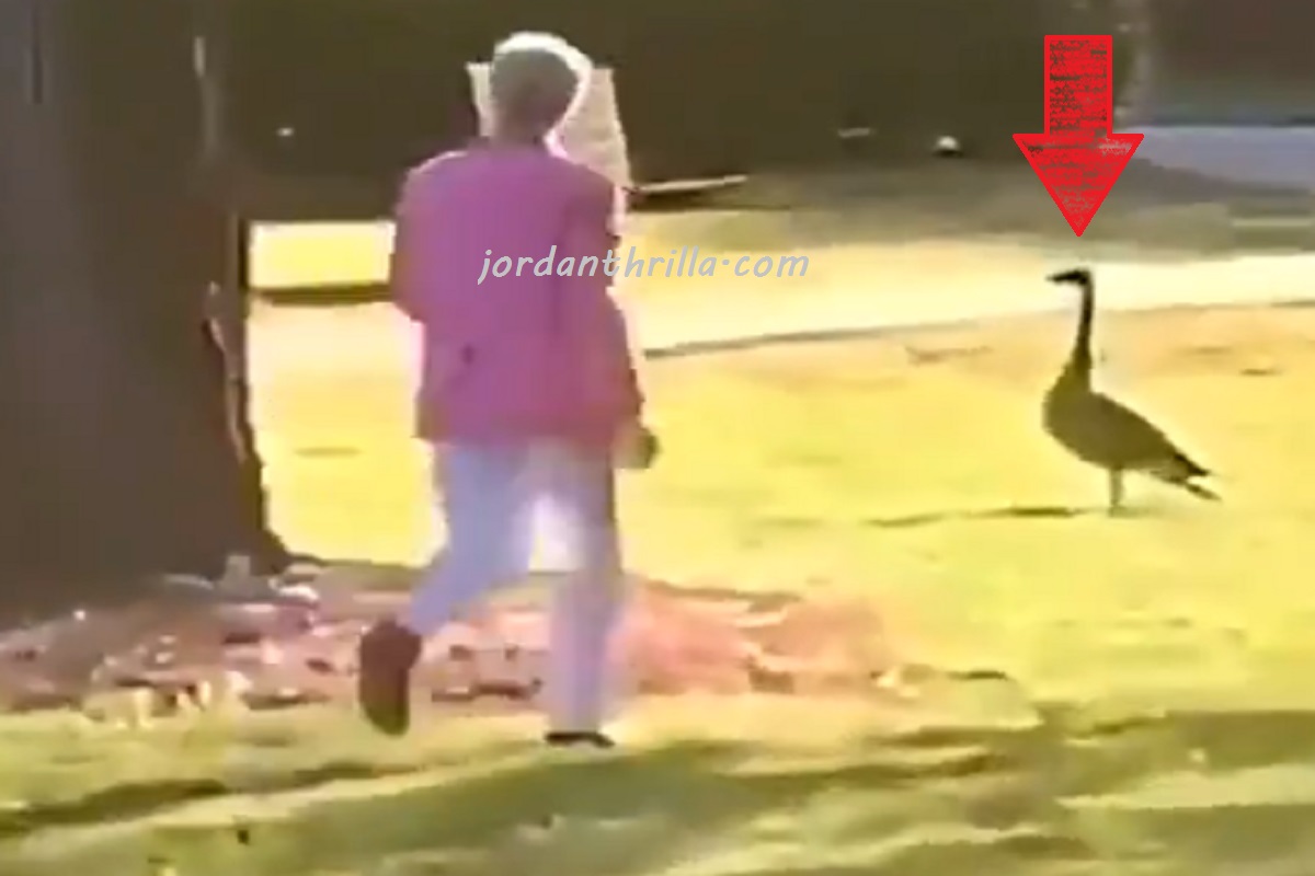 Video of Angry Karen Grabbing a Goose by the Throat Goes Viral