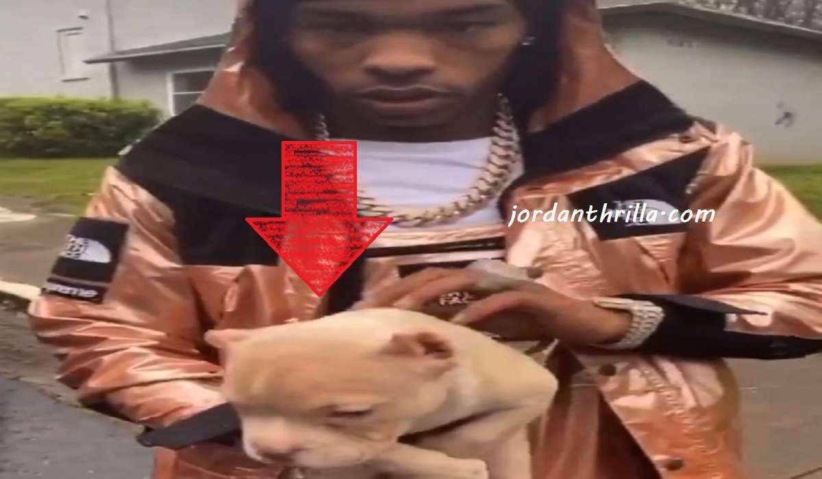 Lil Baby Gives Friend $150K to Start a Dog Business to Save Him From Drugs in Viral Video