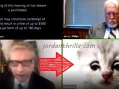 Zoom Cat Filter Lawyer Red Ponton Goes Viral: Lawyer Forgets to Turn Off Cat Fil...