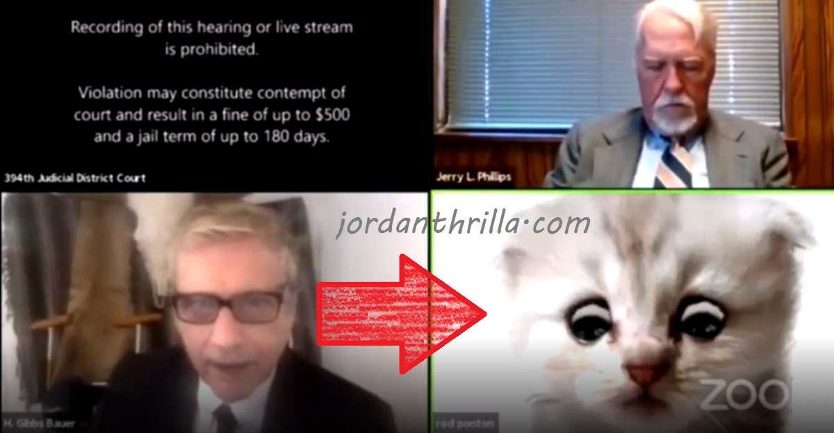 Zoom Cat Filter Lawyer Red Ponton Goes Viral: Lawyer Forgets to Turn Off Cat Filter During Zoom Court Trial and Confuses the Judge