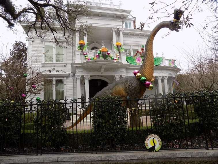 yardi gras decorations on mardi gras
