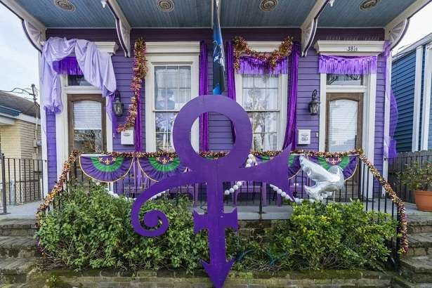 yardi gras decorations on mardi gras