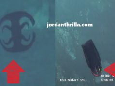 What is the Shift Changing Alien Creature a ROV Camera Captured 3,700 feet Under...