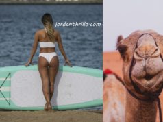 Willie D Exposes Instagram Models Giving Top to Camels in Dubai for Cash