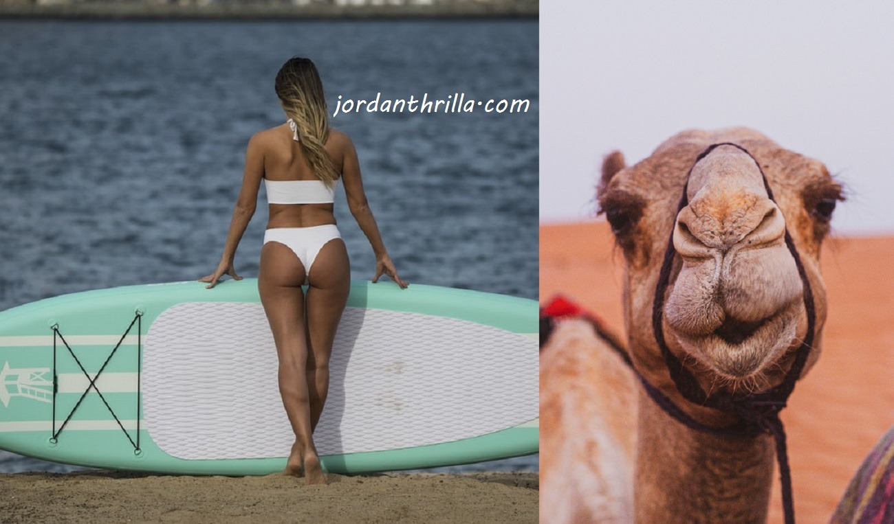 Instagram model with camel