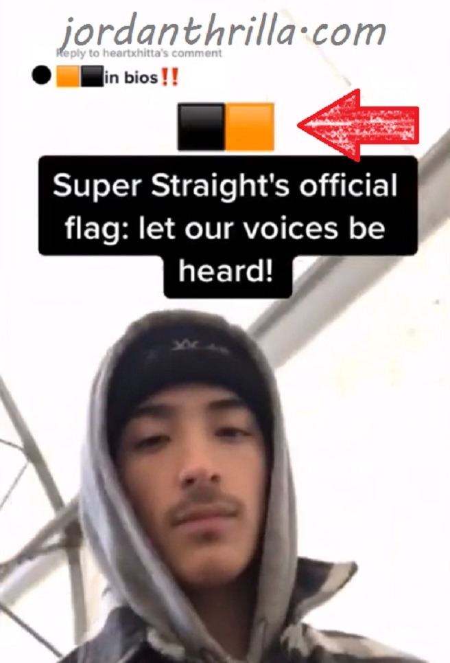 TikTok user revealing "Super Straight" flag that is brown and yellow. TikToker shows "Super Straight" flag