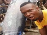 Nigerian Man Mistakenly Eats Blue Marlin Fish Worth $2.6 Million After Capturing It at OYOROKOTOR