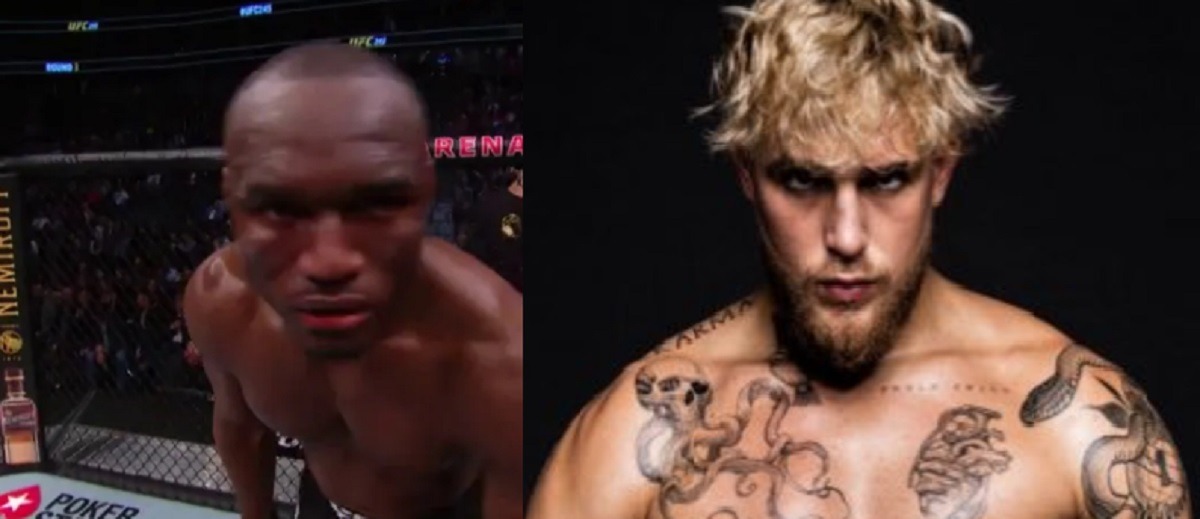 Jake Paul Fighting Kamaru Usman in Boxing Match? Jake Paul Accepts Kamaru Usman Boxing Challenge