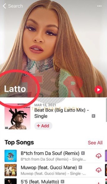 Did Mulatto Change Her Rap Name Officially to Avoid Promoting Colorism? Mulatto changers her rap name to Latto