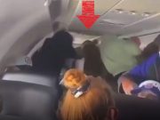 Spirit Airlines Female Gang Brawl Fight Mid Flight Goes Viral