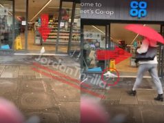 Video Of a Karen VS Seagull Bird Robbing a Co-Op Grocery Store in Scotland Goes ...
