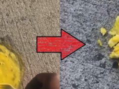 New York Man Cooking Eggs On Hot Concrete Goes Viral