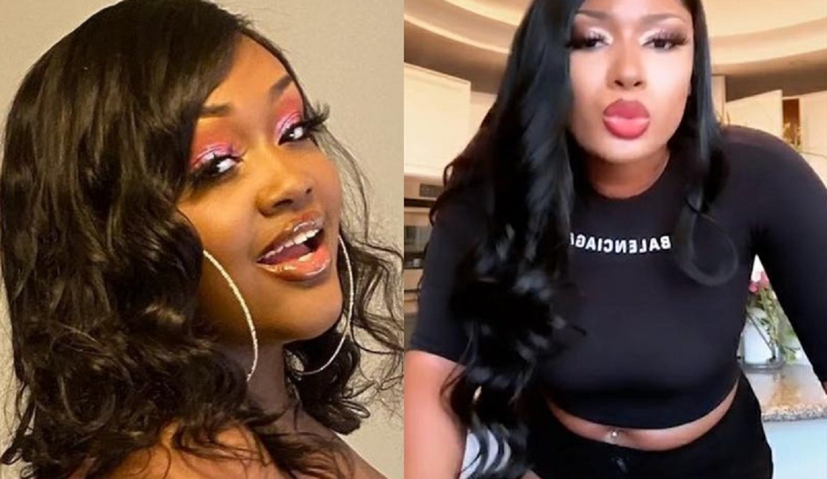 Did Rapper Cupcakke Body Shame Megan Thee Stallion in Deleted Tweet?