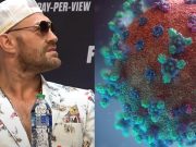 Conspiracy Theory Tyson Fury is Faking COVID-19 Infection To Avoid Deontay Wilder Catches Steam