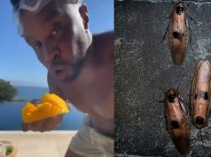 Is P Diddy Lying About 15 Roaches Being on His Face Growing Up?
