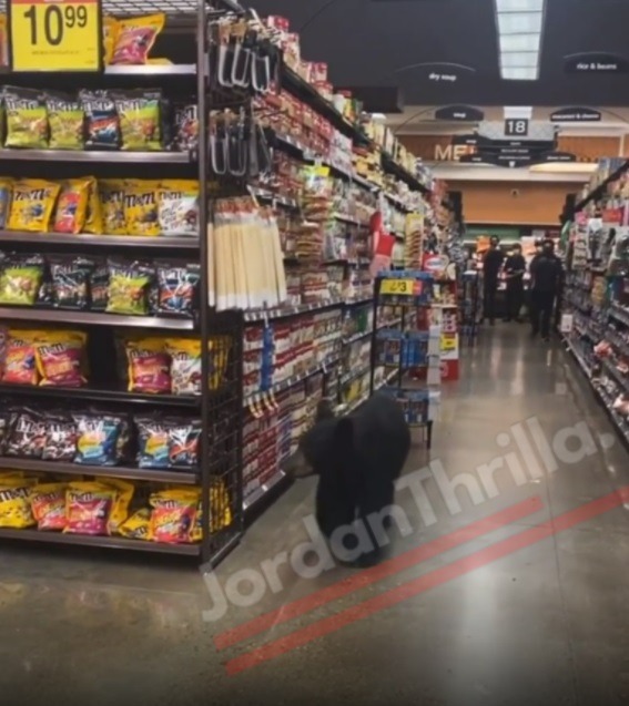 'Martin' Actor Tisha Campbell aka Gina Encounters Grizzly Bear in Ralph's Grocery Store While Shopping in Viral Video