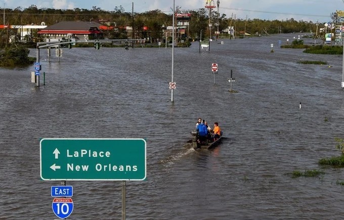 How Did Hurricane Ida Displace Dolphins? Viral Video Shows a Dolphin Swimming in Louisiana Neighborhood Lake