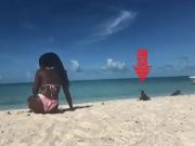 Viral Video Shows Iguana Biting a Yoga Teacher Doing Yoga on Beach in Bahamas then the Woman Curses Out the Iguana