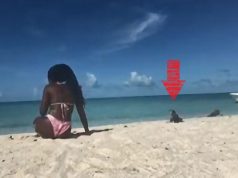 Viral Video Shows Iguana Biting a Yoga Teacher Doing Yoga on Beach in Bahamas th...