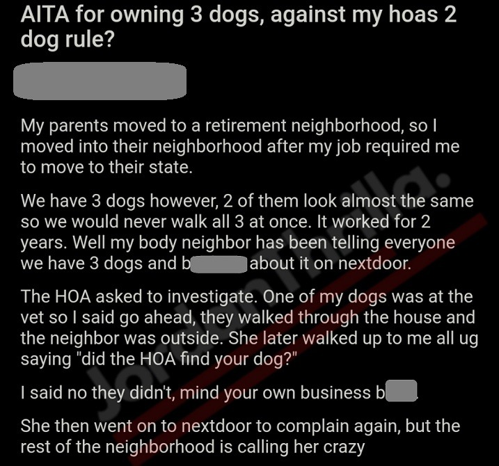 Homeowners Associations Trend After Viral AITA Reddit Post About a HOA 2 Dog Rule in Retirement Neighborhood. AITA Reddit user who owns three dogs complains about HOA 2 Dog Rule.