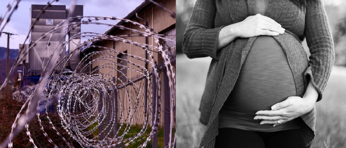 Transgender Woman Impregnates Female Inmate in California After Sharing Cell Under New SB 132 Bill. California female inmate pregnant after sharing cell with transgender woman. Transgender woman smashed female inmate at Central California Women’s Facility.