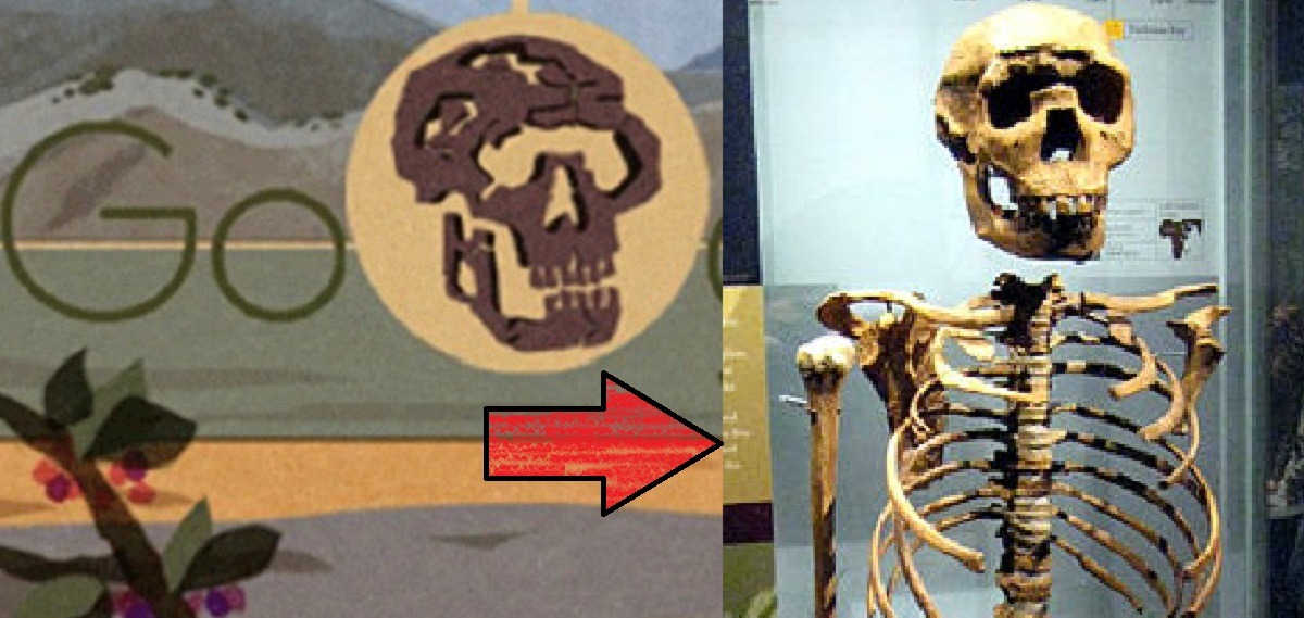 Here is Why Google Doodle Turkana Human Celebration Is Trending Worldwide and Why It's Important to Science