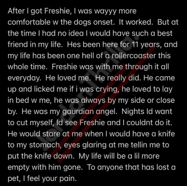 Kid Cudi's Dog Freshie Dead: Kid Cudi Tells Story of How His Dog Freshie Saved Him From Suicide in Tribute to His Death