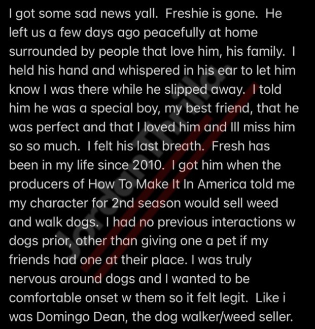 Kid Cudi's Dog Freshie Dead: Kid Cudi Tells Story of How His Dog Freshie Saved Him From Suicide in Tribute to His Death 