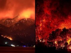 Hashtag #HelpTurkey Goes Viral After 112 Wildfires Burn Through Turkey Turquoise...