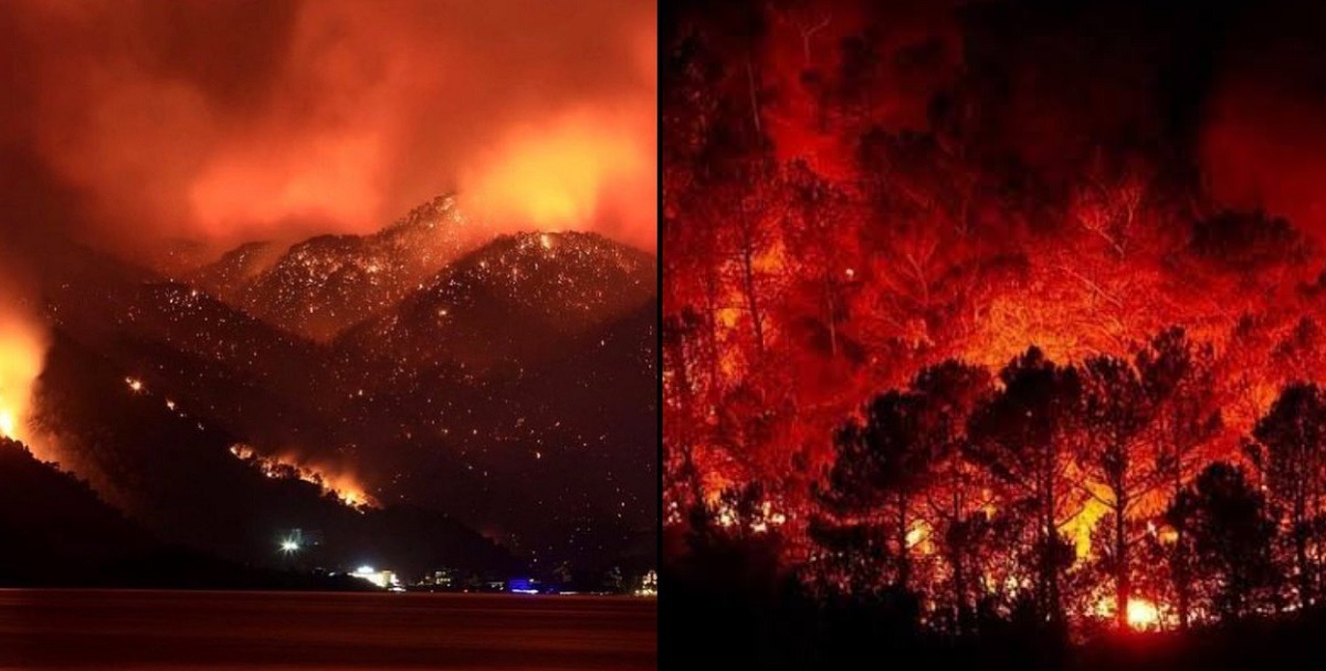 Hashtag #HelpTurkey Goes Viral After 112 Wildfires Burn Through Turkey Turquoise Coast and Mountains