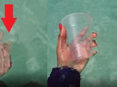 Viral Video Shows Woman Making Clear Cup Disappear in Bahamas Ocean Water