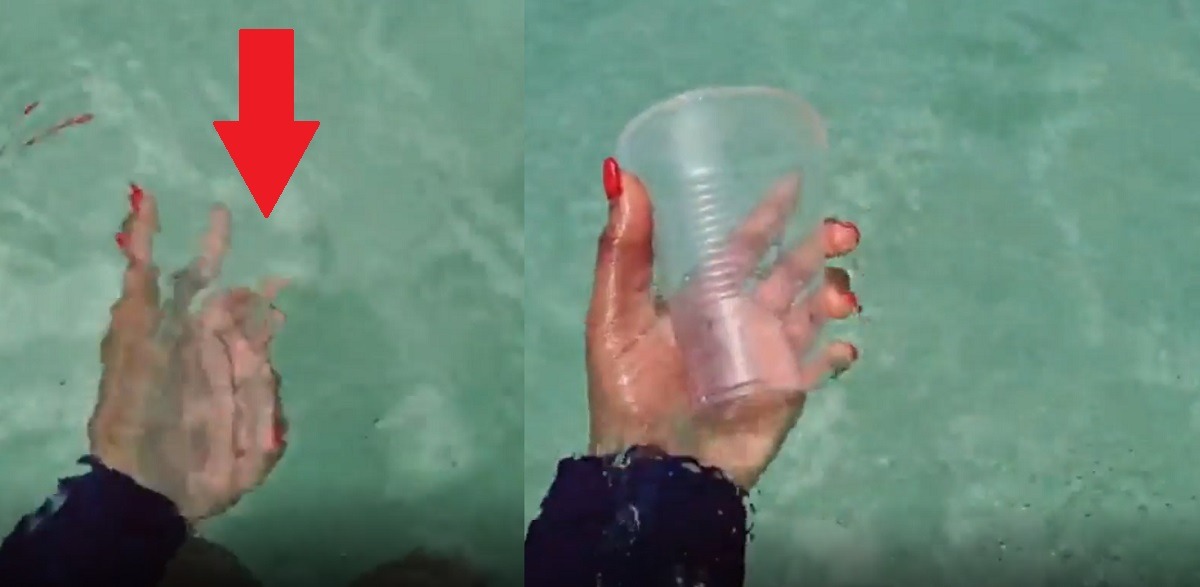 Viral Video Shows Woman Making Clear Cup Disappear in Bahamas Ocean Water. Bahamas Water Cup Challenge.