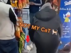 'Not My Cat' Gas Station TikTok Video of Man Trying to Take Gas Station Cashier'...