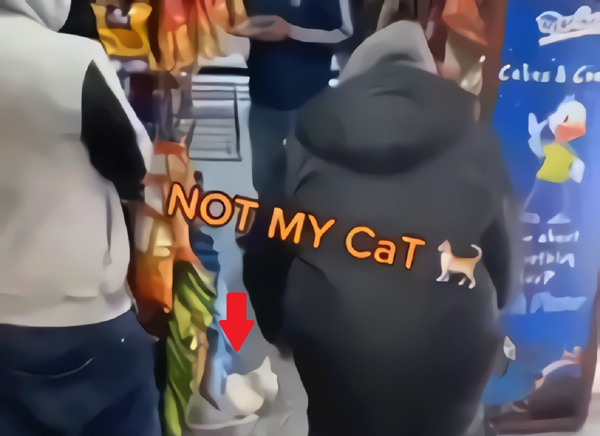 'Not My Cat' Gas Station TikTok Video of Man Trying to Take Gas Station Cashier's Cat Goes Viral. Gas Station clerk says 'Not my Cat' to man trying to take cat in TikTok video.
