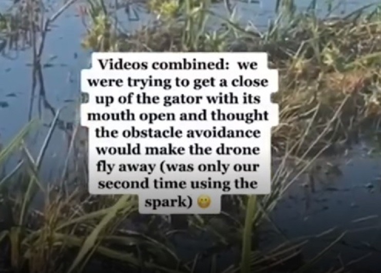 Here's What Happened After an Everglades Alligator Eats a Smoking Drone Battery and it Exploded Inside Its Body in TikTok Video. Smoking Alligator eats drone battery in Everglades. Alligator up in smoke after eating drone battery.