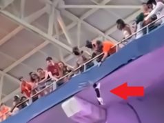 Man Saves Falling Cat at Hard Rock Stadium Then Holds it Up Like Simba For Crowd...