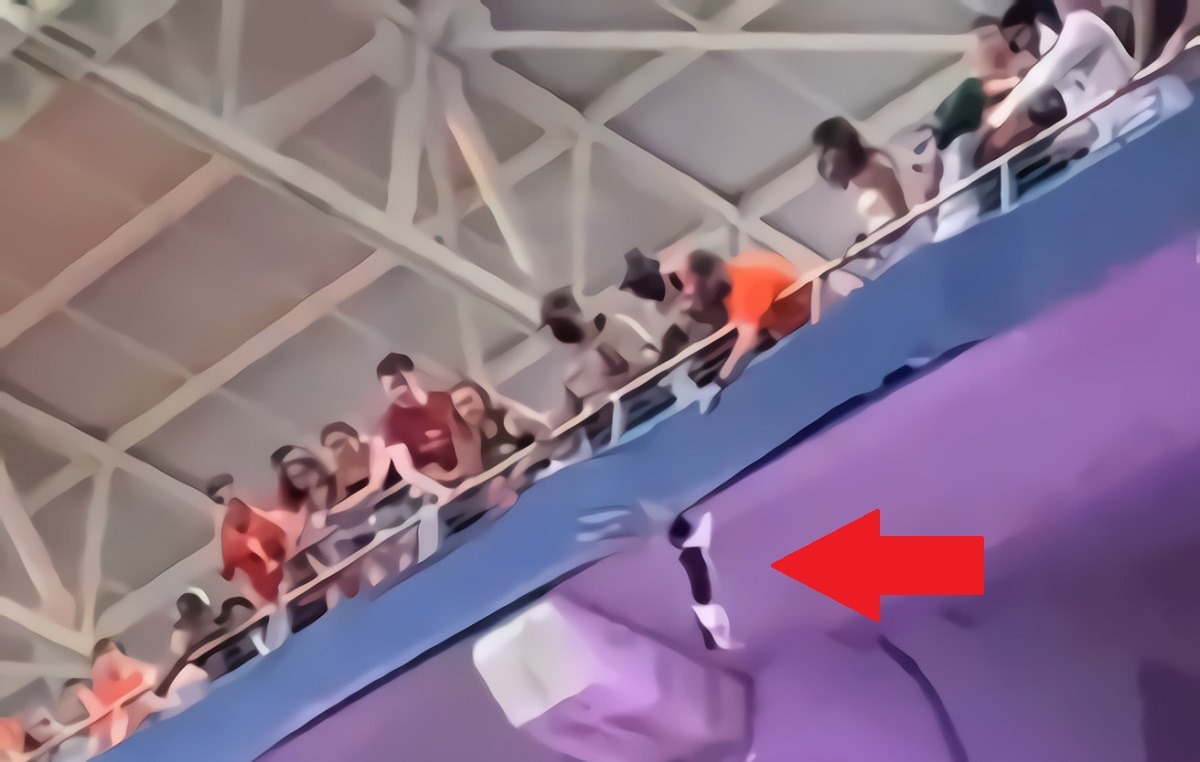 Man Saves Falling Cat at Hard Rock Stadium Then Holds it Up Like Simba For Crowd in Real Life Lion King Moment. Man catches falling cat at Hard Rock Stadium in Miami Gardens Florida. Man holds up cat like Simba at Hard Rock Stadium