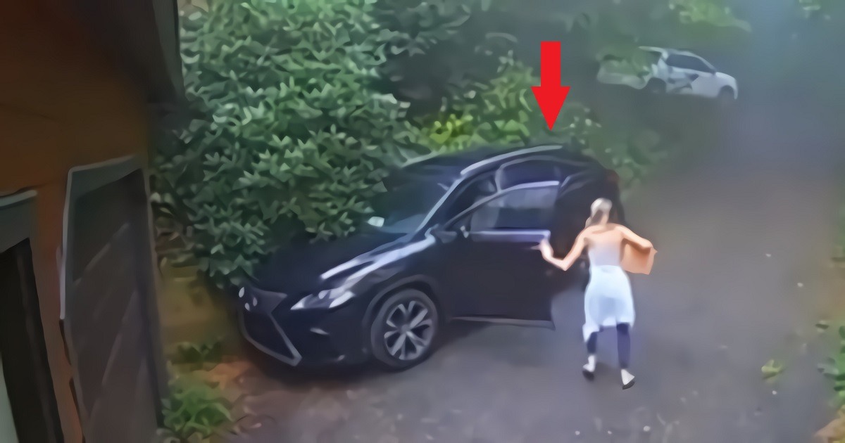 Video of Woman Finding Grizzly Bear Inside Her Lexus SUV Goes Viral. Video of Grizzly bear inside Lexus SUV. Photo of woman running from Grizzly Bear in Lexus SUV.