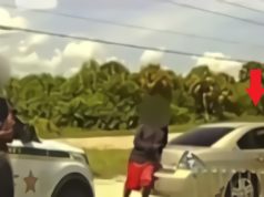 Police Release Body Camera Video of Florida Man Paris Wilder Pistol Whipping and...