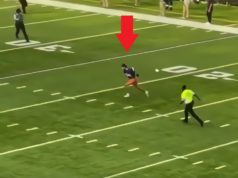 Video Shows Vikings Fan Runs on Field, Does Combat Roll, and Scores Touchdown Be...