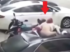 Sneaky Link Woman Jumps Out Window Falls Through Car Sunroof Breaking Her Back A...