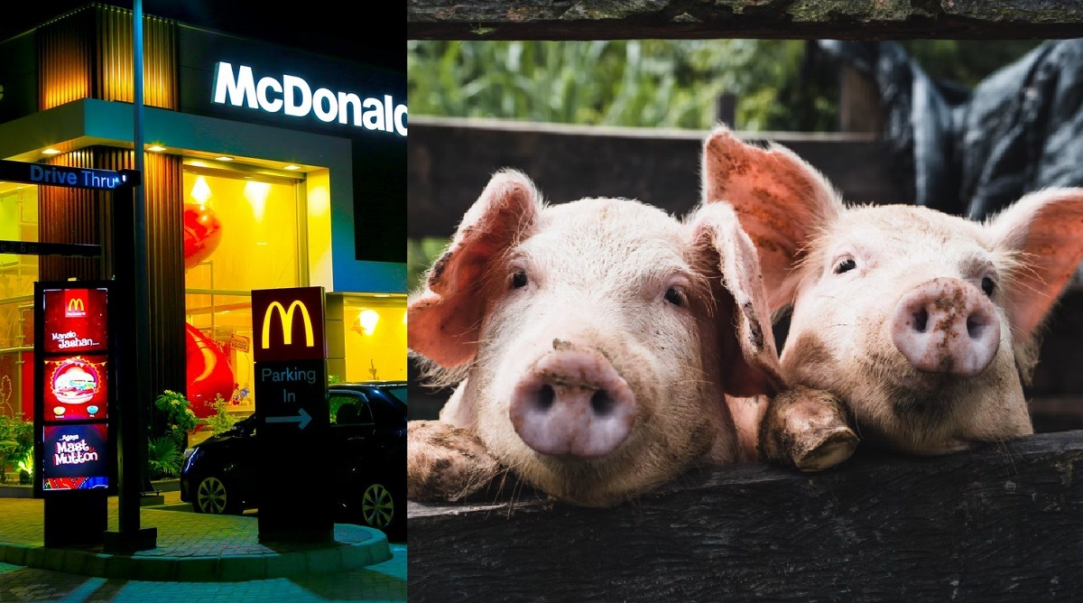 Did a Man Find a Pig Nipple in McDonald's Bacon Roll Then Turn Vegan From Mental Trauma?